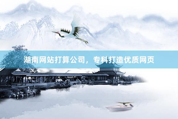 湖南网站打算公司，专科打造优质网页
