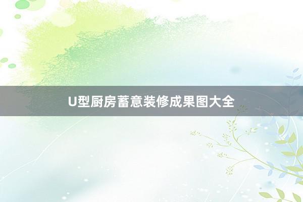 U型厨房蓄意装修成果图大全