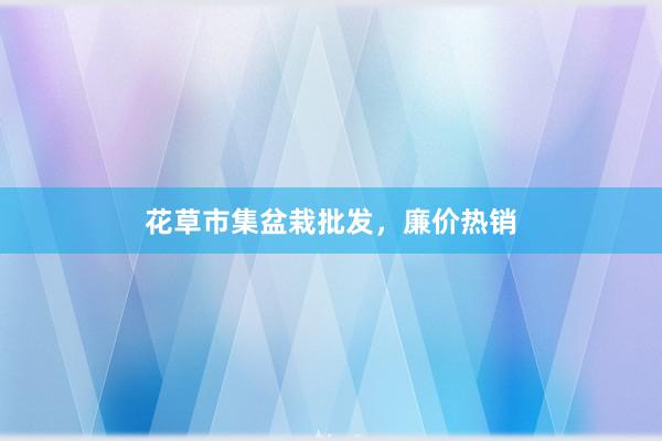 花草市集盆栽批发，廉价热销