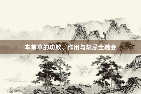 车前草的功效、作用与禁忌全融会